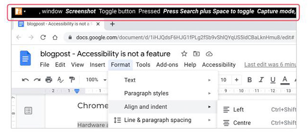 google chrome accessibility screen reader