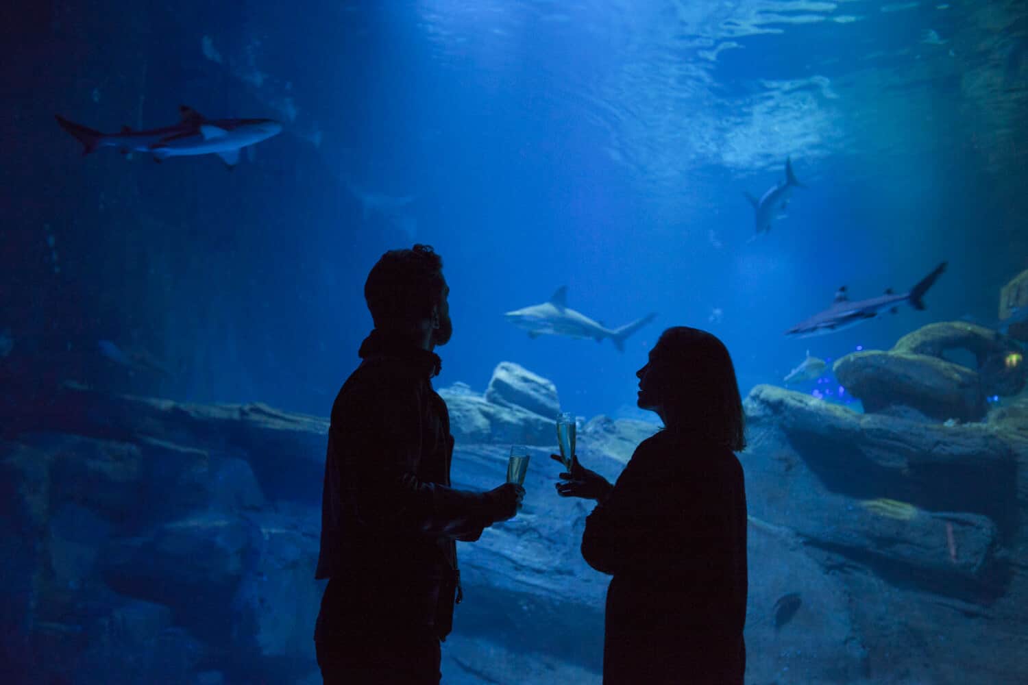 Aquarium Paris